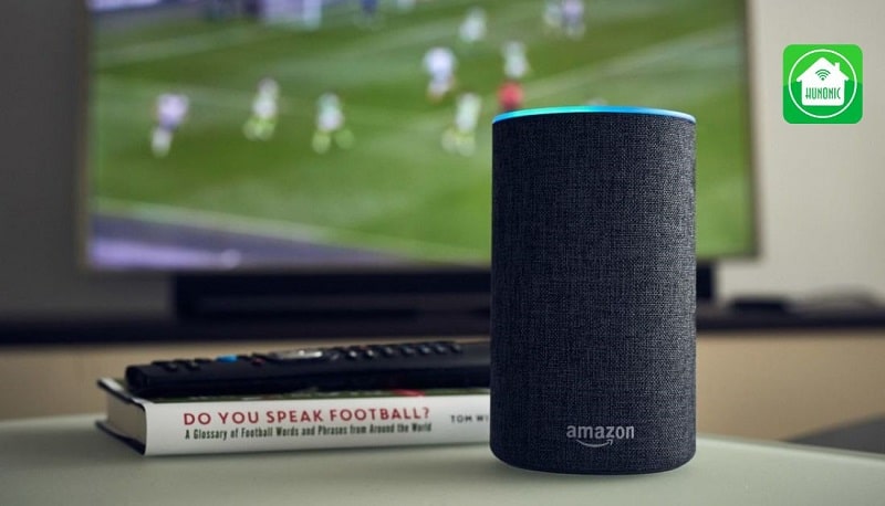 Alexa không chỉ quản lý các thiết bị nhà thông minh mà còn có thể phát các bài hát