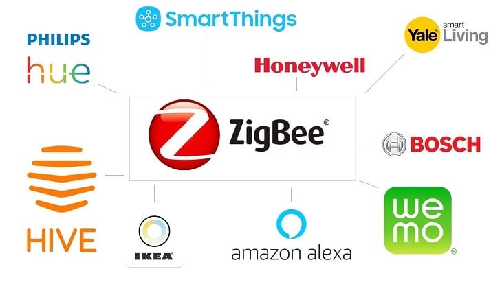 ziggbee là gì