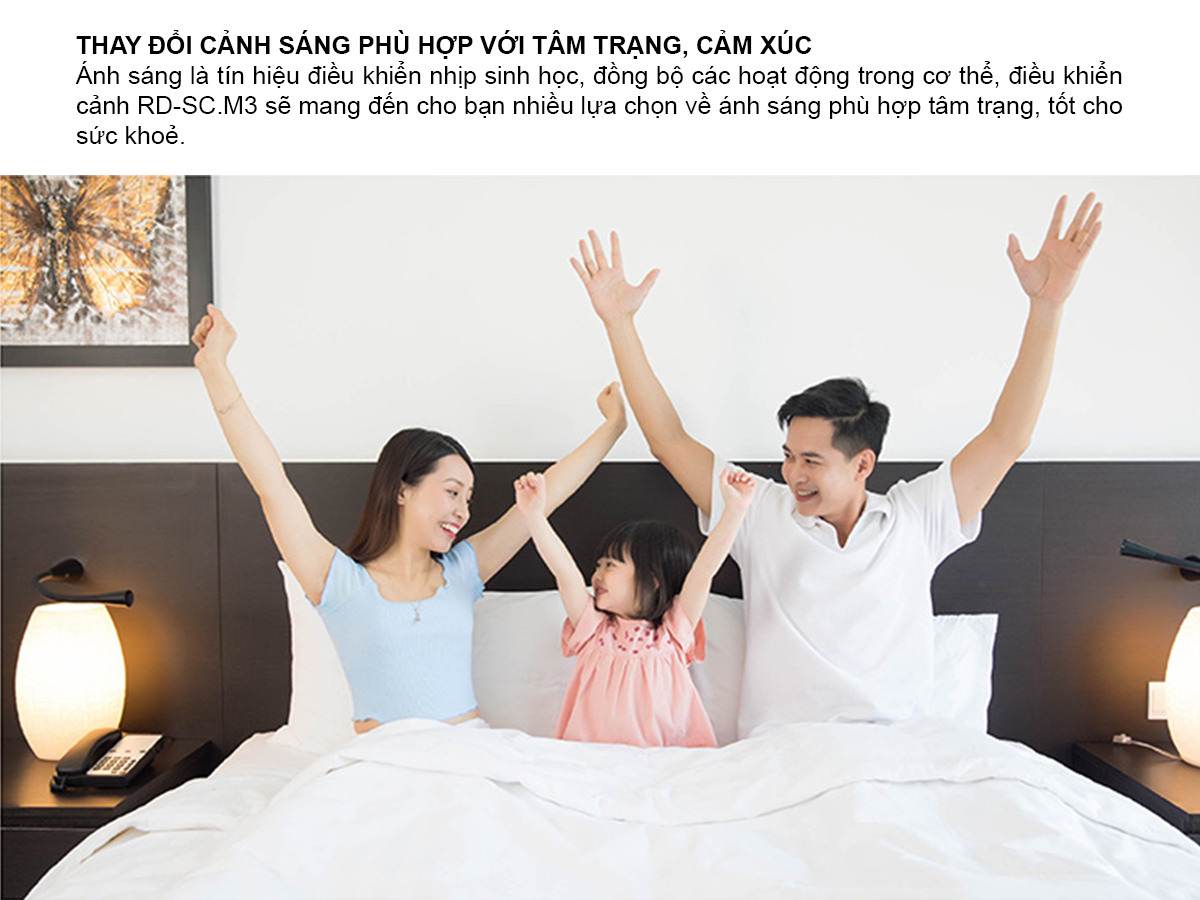 Bảng điều khiển cảnh RD-SC.M3 V2 (DC) 3
