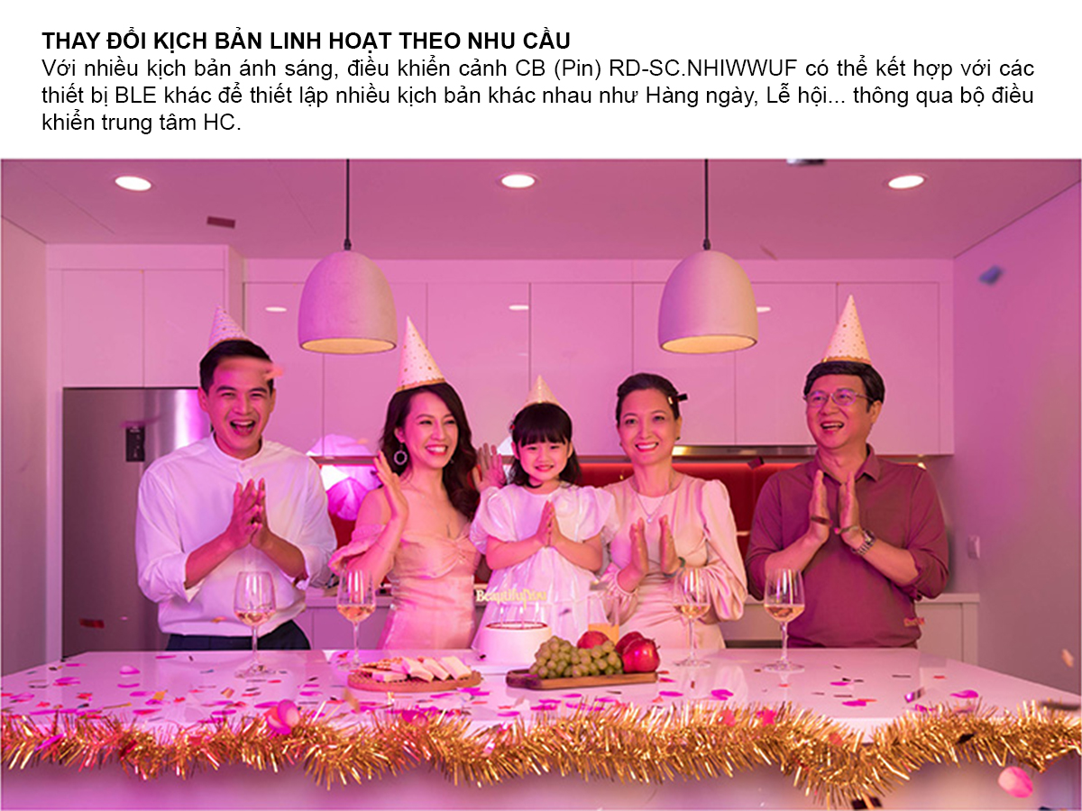 Bảng điều khiển cảnh RD-SC.CB 2