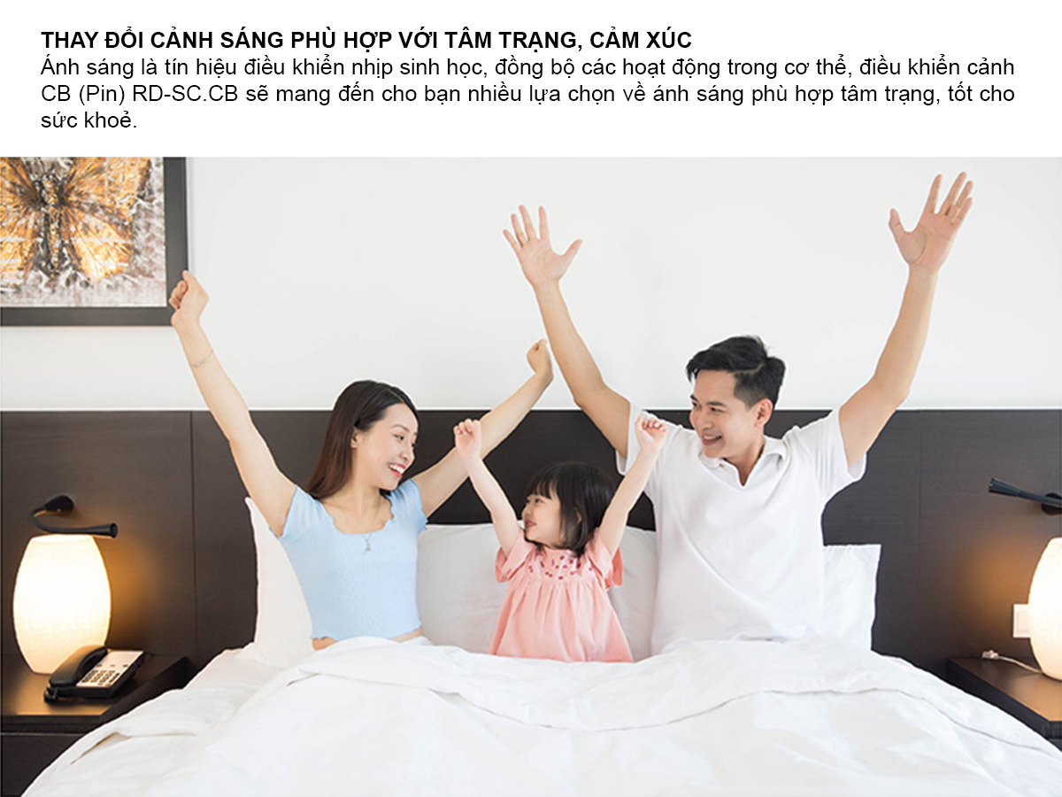 Bảng điều khiển cảnh RD-SC.CB 3