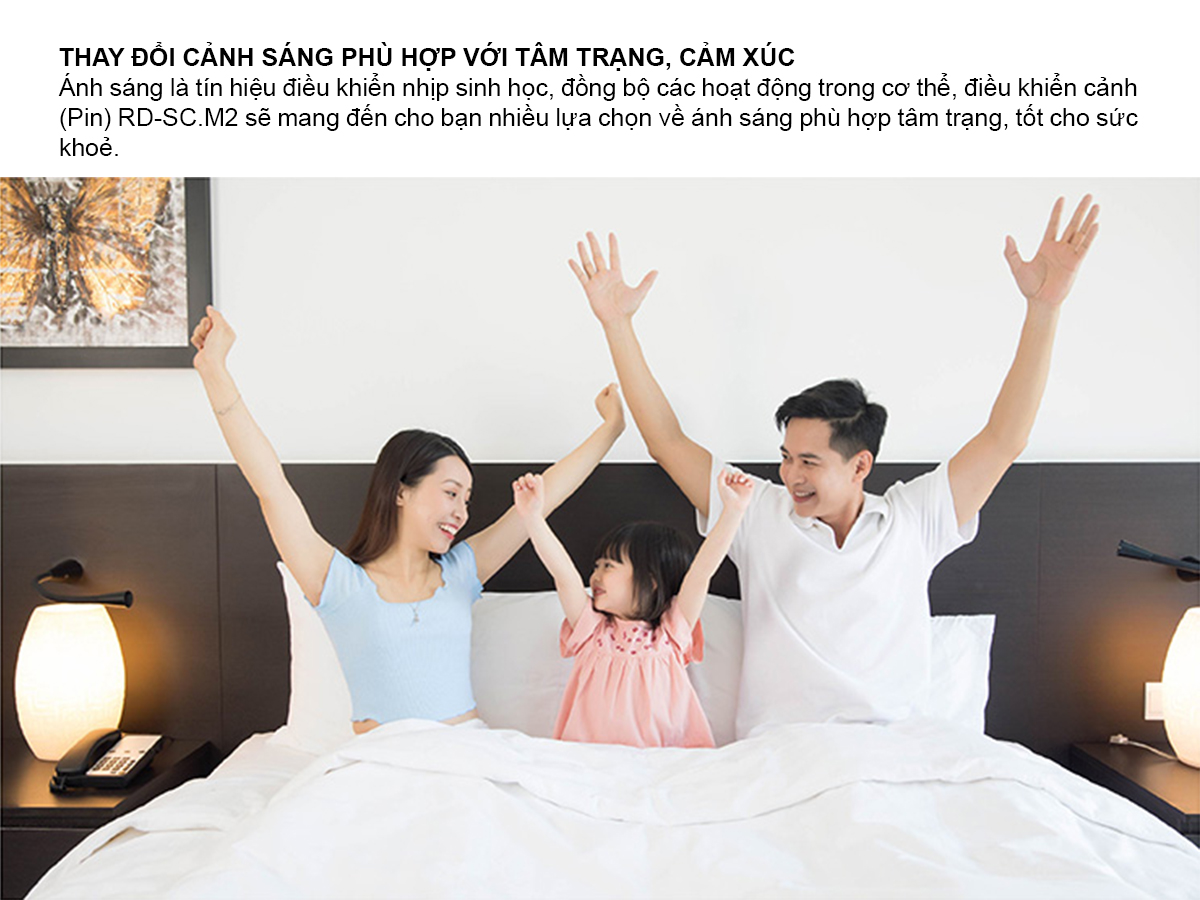Bảng điều khiển cảnh (Pin)   RD-SC.M2 2