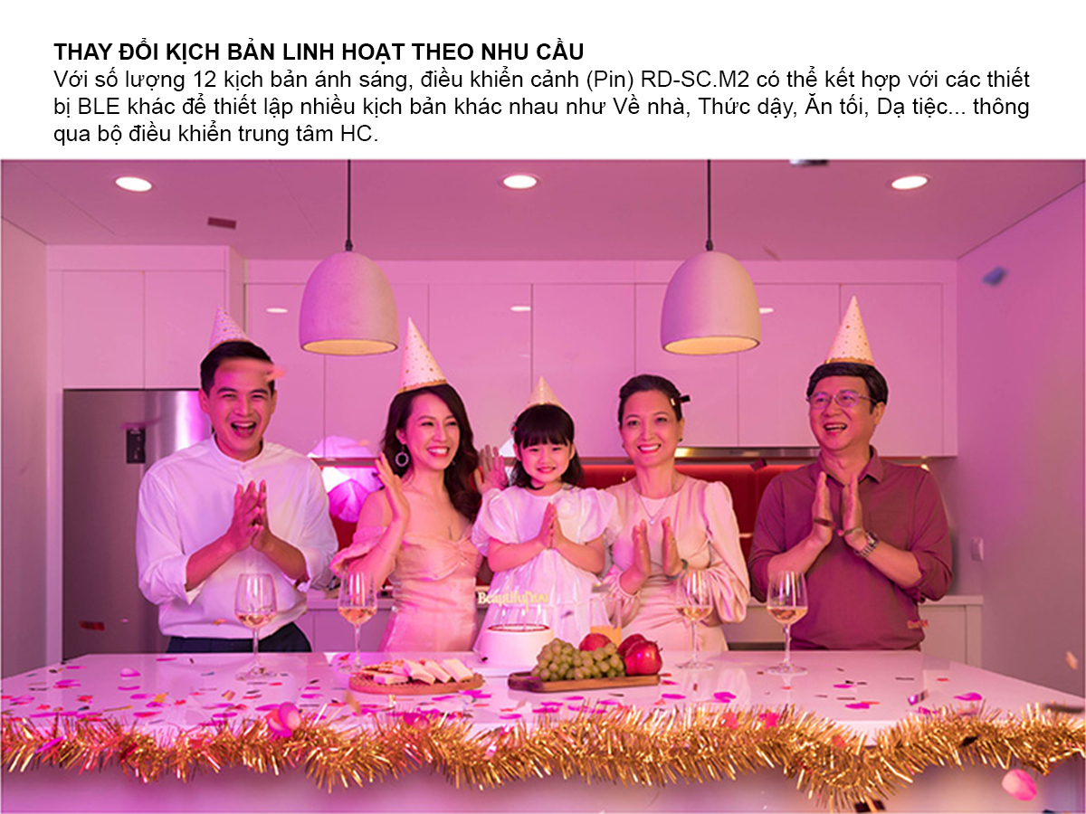 Bảng điều khiển cảnh (Pin)   RD-SC.M2 6